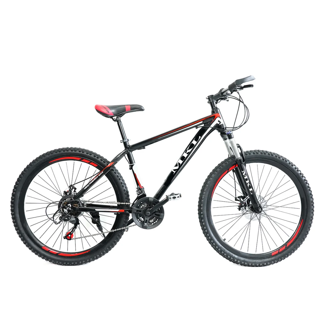 20′ ′ -26′ ′ Cheap and Competitive Price MTB Mountain Bike for Children and Adults