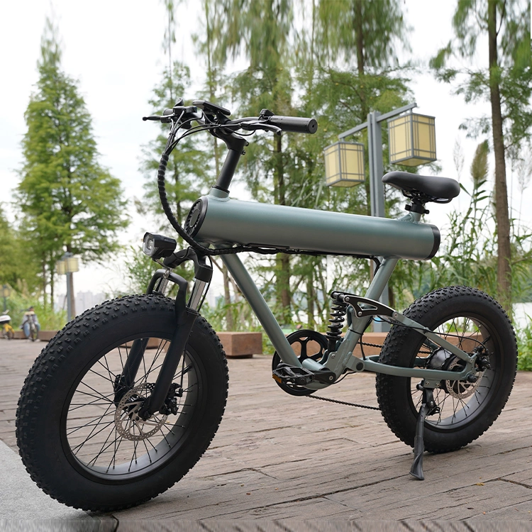 Manufacturer New Design Fat Tire Ebike with 10ah 48V 500W E-Bike