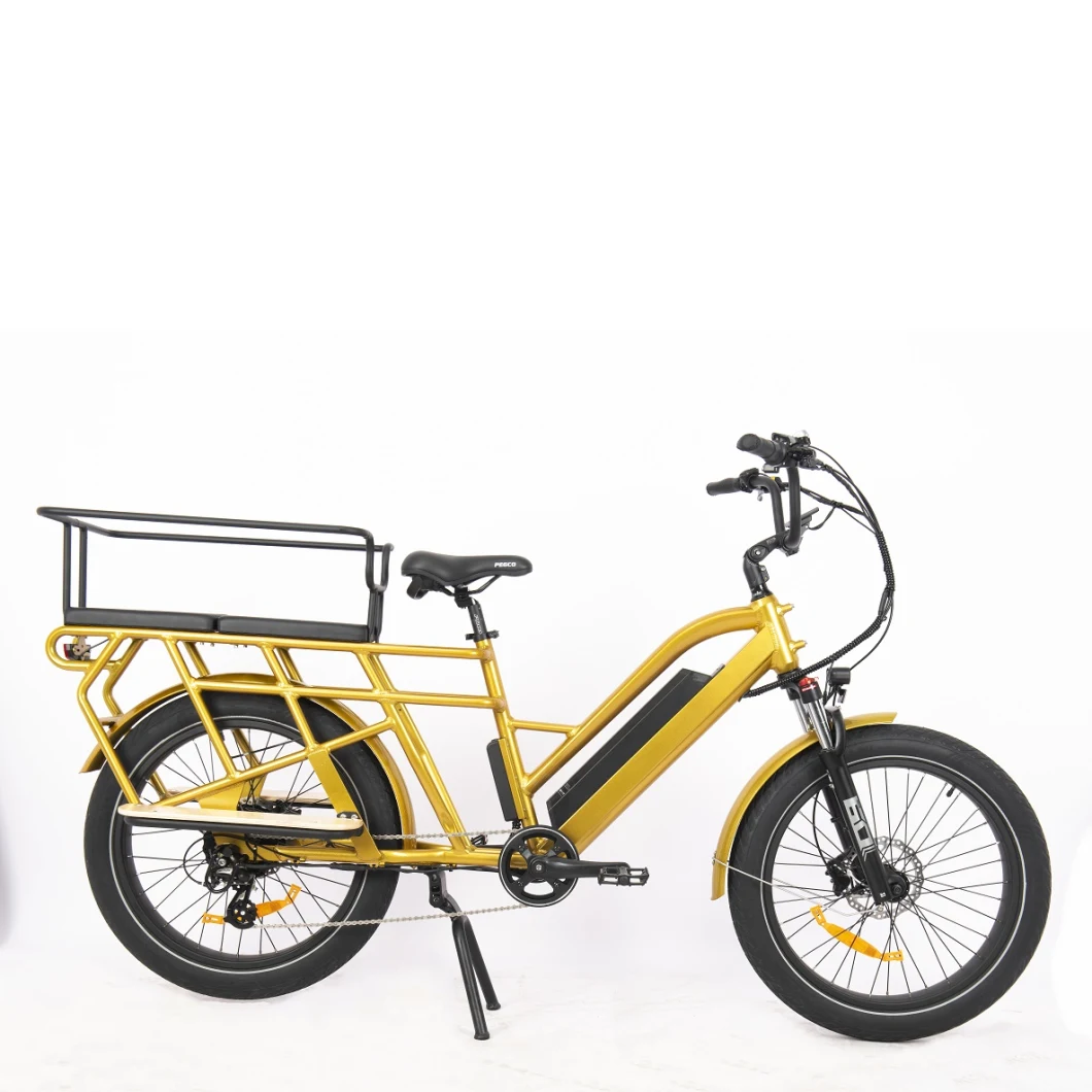 Cargo Electric Bike Rear Motor Electric Bicycle Kids City Load Bike