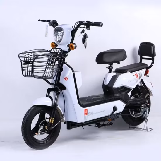 Vélo électrique adulte à vendre China Factory