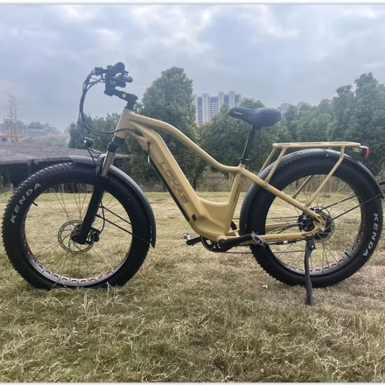 VTT gros pneu 26*4.0 350W*2 moteurs à double moyeu vélo électrique