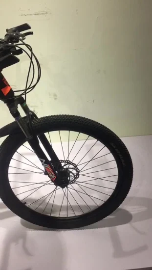 Vélo de montagne de vélo de cadre en alliage avec (HC-MTB-2699)